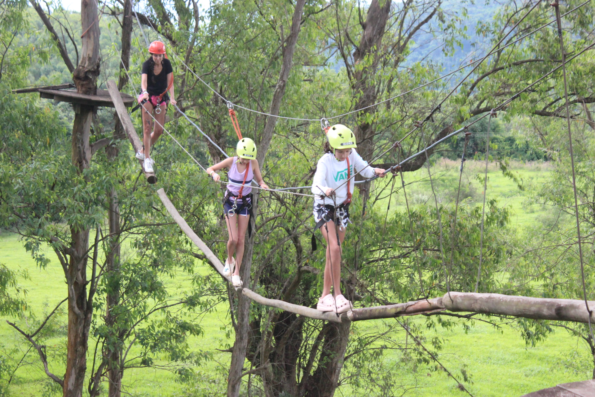 Treetop adventure